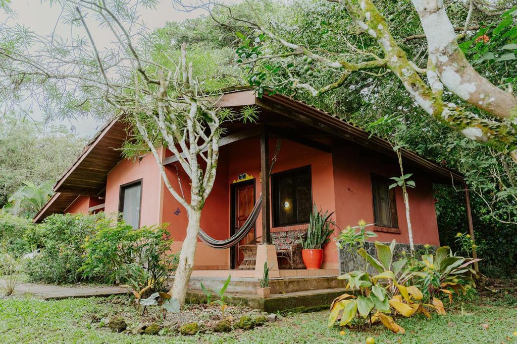 Lodge Mirador - Great Swimming Pool - Kitchen - Bbq - Netflix Tajo Alto Extérieur photo