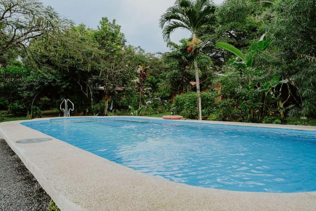 Lodge Mirador - Great Swimming Pool - Kitchen - Bbq - Netflix Tajo Alto Extérieur photo